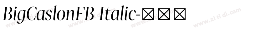 BigCaslonFB Italic字体转换